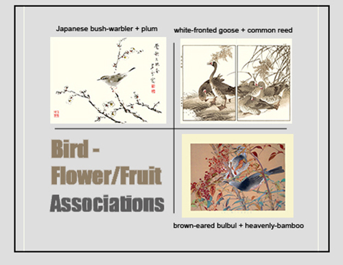 Bird-Flower/Fruit Associations Blog